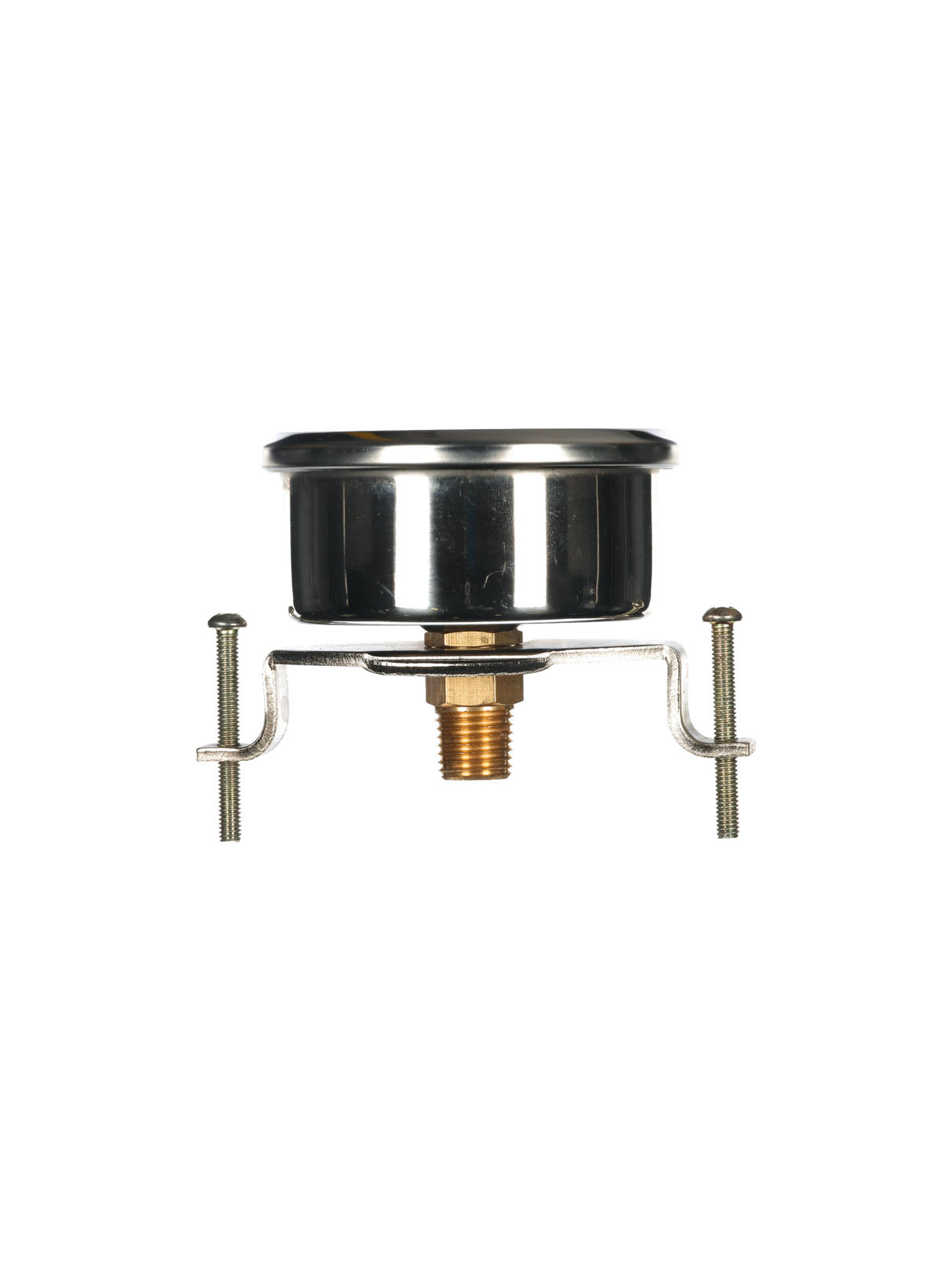 PurClean 0-300 PSI Pressure Gauge, No-Lead, Back Mount PurClean