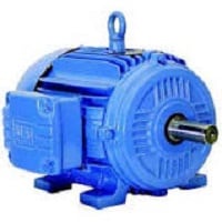 Coleman Hanna Stainless Steel Dryer Motor, 10 HP, 3600 RPM, 3 Ph, 60 Hz, 208-230/460V Car Wash Superstore