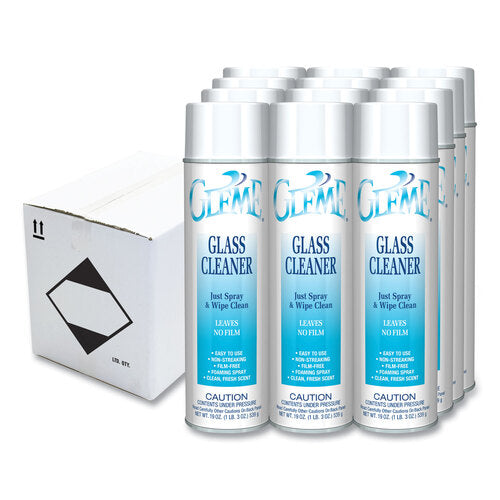 CWS Aerosol Spray Glass Cleaner