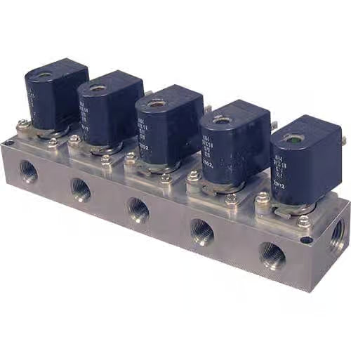 Dema Manifold Valve 1/2 NPT 5 Station 24VAC DIN DEMA