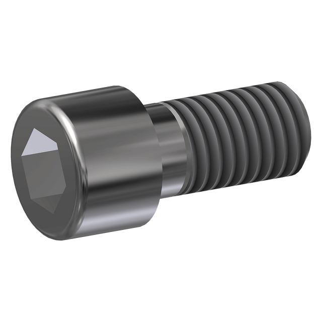 Peco Bolt-Socket, SS, M8-1.25x16 for PE163s/rf Van High Side Washer, 600078 Car Wash Superstore