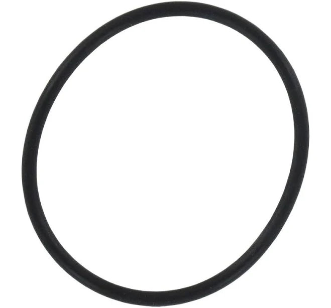 AXEON 3/4'' O-Ring Filter Housing AXEON Water Technologies