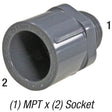 Adapter, 1/2in MPT x 1/2in SLP Socket, PVC SCH80, Gray Car Wash Superstore