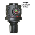 Air Regulator with Gauge, 3/8in FPT, 250PSI, 2000 Series, ARO R37341-600 Car Wash Superstore