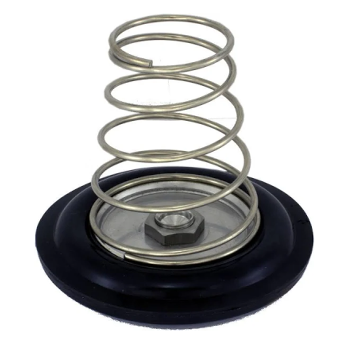Solenoid Rebuild Kit, 3/4in, 601-074-RP Car Wash Superstore