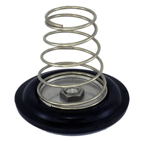 Solenoid Rebuild Kit, 3/4in, 601-074-RP Car Wash Superstore