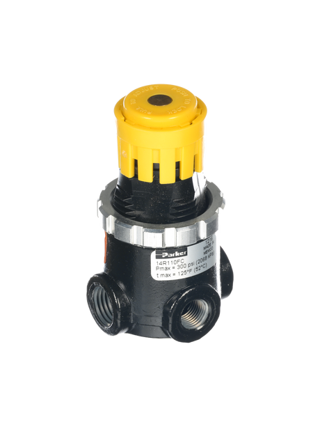 NCS Regulator/Air, 1/4NPT, 0-30PSI NCS