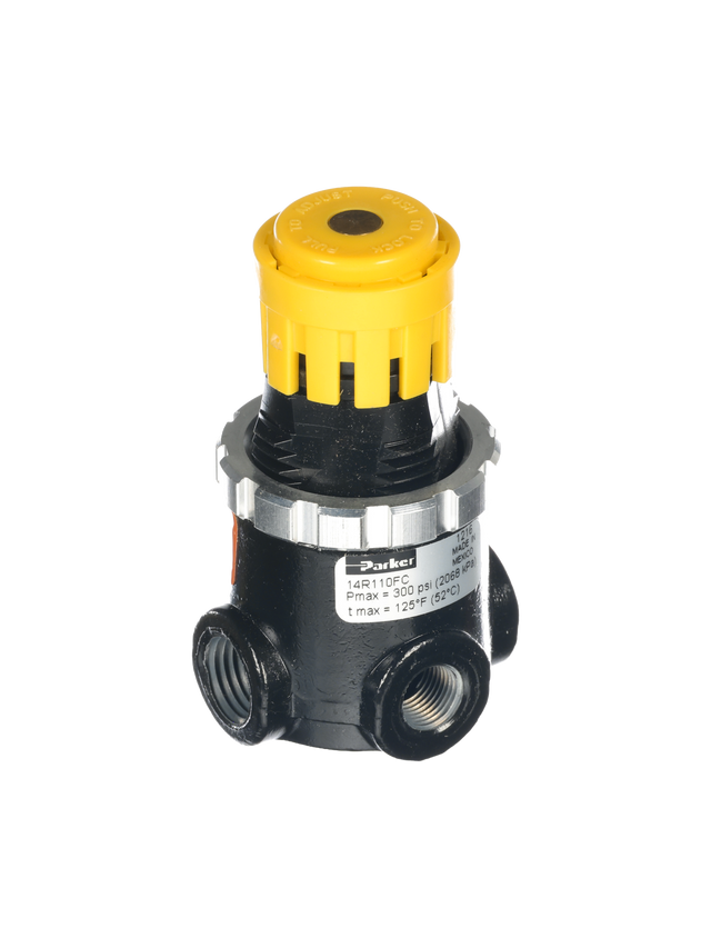NCS Regulator/Air, 1/4NPT, 0-30PSI NCS