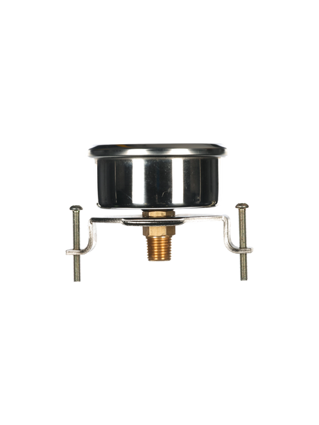 PurClean 0-300 PSI Pressure Gauge, No-Lead, Back Mount PurClean