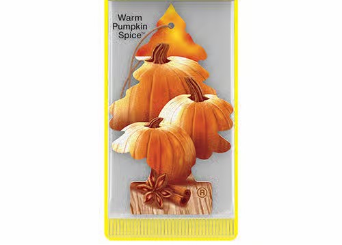 Little Trees 24Card Packs Warm Pumpkin Spice (24 Per Box)