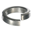 WSHR SS Lock 3/8” High Collar MacNeil