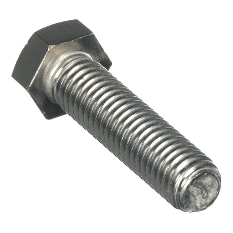 HHCS SS 1/2"-13 x 2" MacNeil