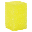 CWS Bug & Tar Sponge Car Wash Superstore