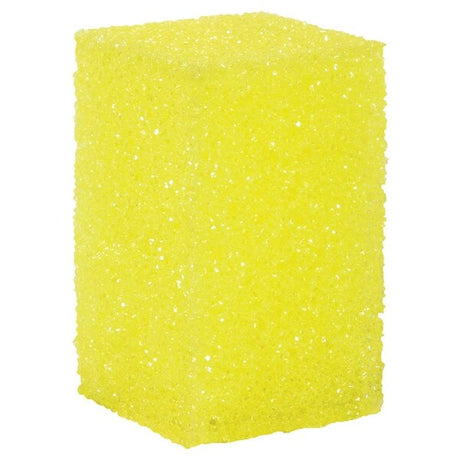CWS Bug & Tar Sponge Car Wash Superstore