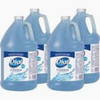 Dial Antibacterial Liquid Hand Soap, Spring Water, 1 gal, 4/Carton Car Wash Superstore