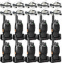 CWS Walkie Talkies Car Wash Superstore