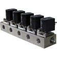 Dema Manifold Valve 1/2 NPT 5 Station 120VAC DIN Car Wash Superstore