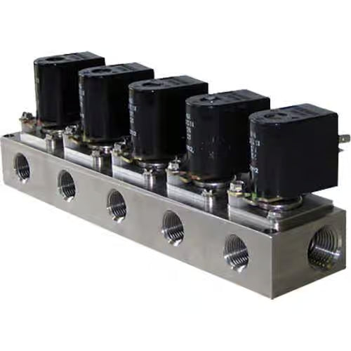 Dema Manifold Valve 1/2 NPT 5 Station 120VAC DIN Car Wash Superstore