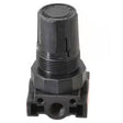 Parker R24-02CK Composite Regulator For Air Or Liquid 1/4 Car Wash Superstore