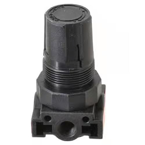 Parker R24-02CK Composite Regulator For Air Or Liquid 1/4 Car Wash Superstore