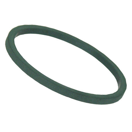 Replacement In-Line Strainer Gasket for Inlet/Outlet Port 1/2in and 3/4in, Green, Viton Car Wash Superstore