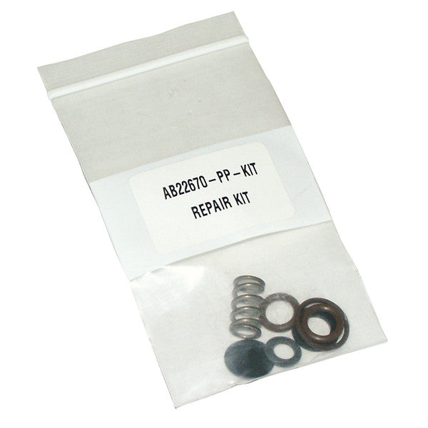Valve Repair Kit 22670, Spraying Systems AB22670-KIT Car Wash Superstore