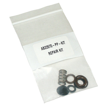 Valve Repair Kit 22670, Spraying Systems AB22670-KIT Car Wash Superstore