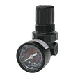 Norgren Regulator With Gauge R-L 1/4" FPT Car Wash Superstore