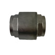 Check Valve, 1-1/4in, Stainless Steel, 052-125-SS Car Wash Superstore