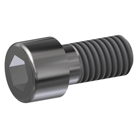 Peco Bolt-Socket, SS, M8-1.25x16 for PE163s/rf Van High Side Washer, 600078 Car Wash Superstore
