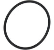 AXEON 3/4'' O-Ring Filter Housing AXEON Water Technologies