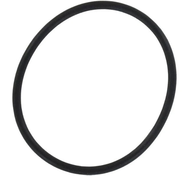 AXEON 3/4'' O-Ring Filter Housing AXEON Water Technologies