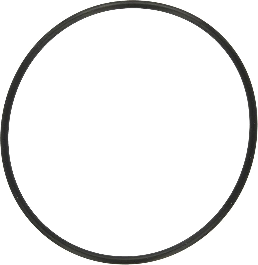 Pur Clean Large O-Ring For PKG-98 Car Wash Superstore