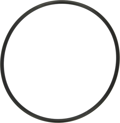 Pur Clean Large O-Ring For PKG-98 Car Wash Superstore