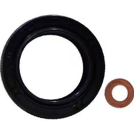 Arimitsu NBR Oil Seal - 5 Series Pumps Car Wash Superstore