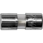CWS 2 AMP Glass Fuse CWS