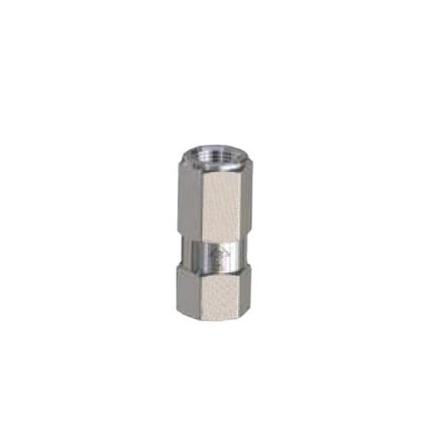 General Pump Stainless Steel 1/4'' Check Valve