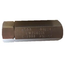 Rego Stainless Steel 1/4'' FPT Check Valve with Viton O-Rings