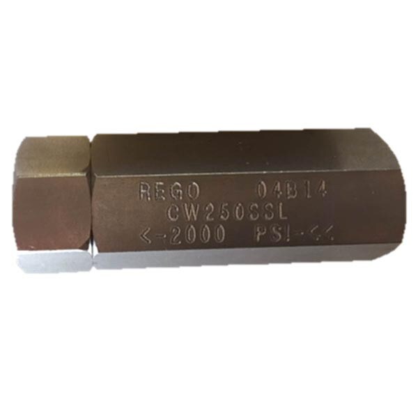 Rego Stainless Steel 1/4'' FPT Check Valve with Viton O-Rings